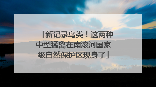 新记录鸟类！这两种中型猛禽在南滚河国家级自然保护区现身了