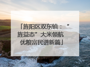 旌阳区双东镇：“旌益态”大米领航 优粮富民谱新篇
