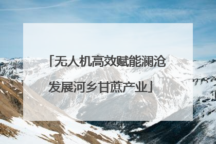 无人机高效赋能澜沧发展河乡甘蔗产业