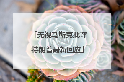 无视马斯克批评 特朗普最新回应