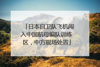 日本自卫队飞机闯入中国航母编队训练区，中方现场处置