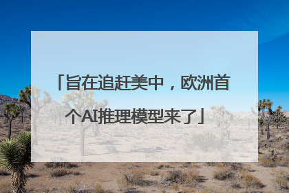 旨在追赶美中，欧洲首个AI推理模型来了