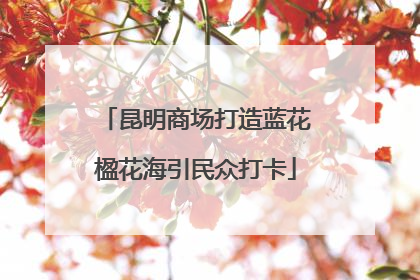 昆明商场打造蓝花楹花海引民众打卡