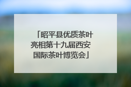 昭平县优质茶叶亮相第十九届西安国际茶叶博览会