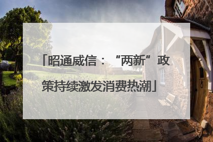 昭通威信：“两新”政策持续激发消费热潮