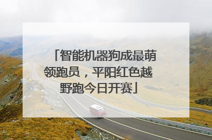智能机器狗成最萌领跑员，平阳红色越野跑今日开赛