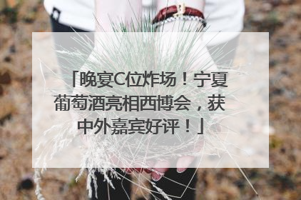 晚宴C位炸场！宁夏葡萄酒亮相西博会，获中外嘉宾好评！