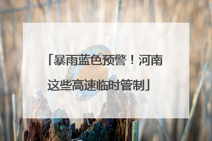 暴雨蓝色预警！河南这些高速临时管制