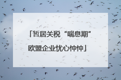 暂居关税“喘息期” 欧盟企业忧心忡忡
