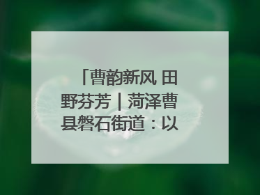曹韵新风 田野芬芳｜菏泽曹县磐石街道：以歌为媒 唱响乡土“新歌声”