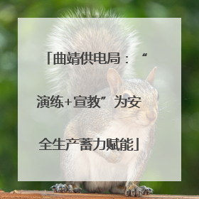 曲靖供电局：“演练+宣教”为安全生产蓄力赋能
