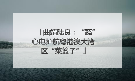 曲靖陆良：“蔬”心电护航粤港澳大湾区“菜篮子”