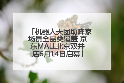 机器人天团助阵家场景全品类覆盖 京东MALL北京双井店6月14日启幕