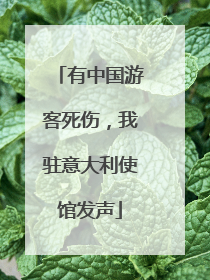有中国游客死伤，我驻意大利使馆发声