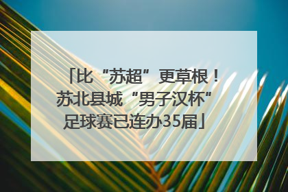 比“苏超”更草根！苏北县城“男子汉杯”足球赛已连办35届