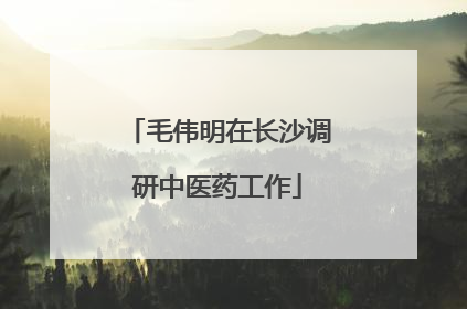 毛伟明在长沙调研中医药工作