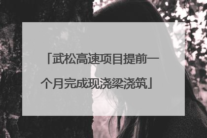 武松高速项目提前一个月完成现浇梁浇筑