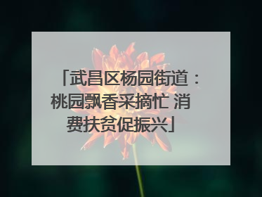 武昌区杨园街道：桃园飘香采摘忙 消费扶贫促振兴