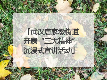 武汉唐家墩街道开展“三大精神”沉浸式宣讲活动