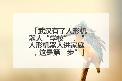 武汉有了人形机器人“学校”，“人形机器人进家庭，这是第一步”