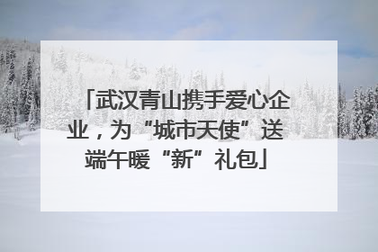 武汉青山携手爱心企业，为“城市天使”送端午暖“新”礼包