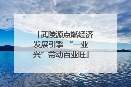 武陵源点燃经济发展引擎 “一业兴”带动百业旺