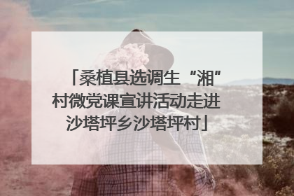 桑植县选调生“湘”村微党课宣讲活动走进沙塔坪乡沙塔坪村