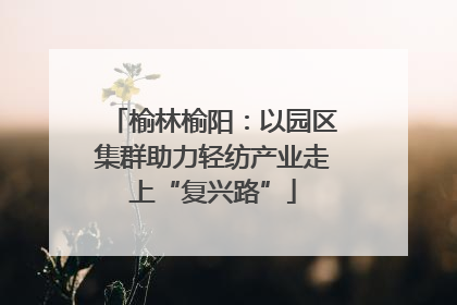 榆林榆阳：以园区集群助力轻纺产业走上“复兴路”