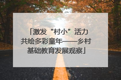 激发“村小”活力 共绘多彩童年——乡村基础教育发展观察