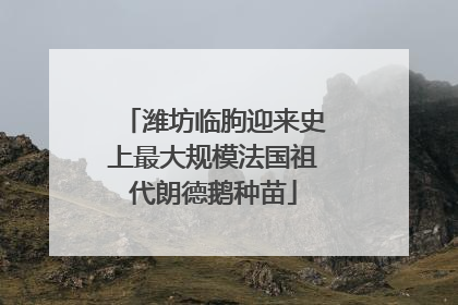 潍坊临朐迎来史上最大规模法国祖代朗德鹅种苗