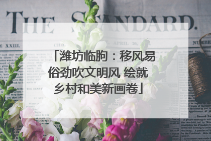 潍坊临朐：移风易俗劲吹文明风 绘就乡村和美新画卷
