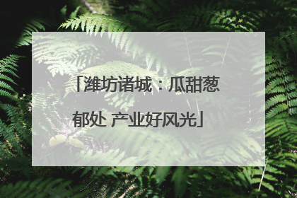 潍坊诸城：瓜甜葱郁处 产业好风光