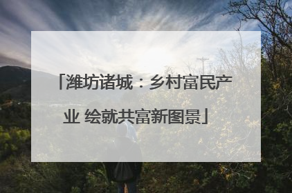 潍坊诸城：乡村富民产业 绘就共富新图景