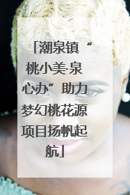 潮泉镇“桃小美·泉心办”助力梦幻桃花源项目扬帆起航