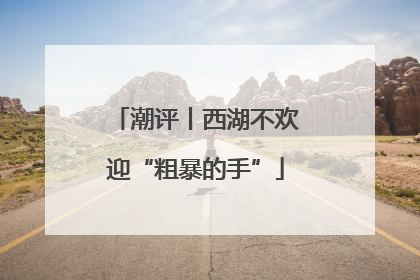 潮评丨西湖不欢迎“粗暴的手”