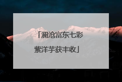 澜沧富东七彩紫洋芋获丰收