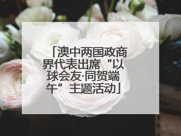 澳中两国政商界代表出席“以球会友·同贺端午”主题活动