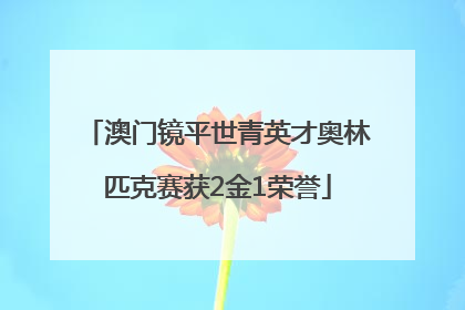 澳门镜平世青英才奥林匹克赛获2金1荣誉
