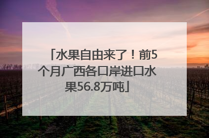 水果自由来了！前5个月广西各口岸进口水果56.8万吨