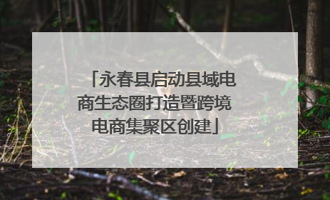 永春县启动县域电商生态圈打造暨跨境电商集聚区创建