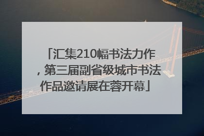 汇集210幅书法力作，第三届副省级城市书法作品邀请展在蓉开幕