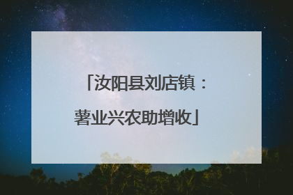 汝阳县刘店镇：薯业兴农助增收