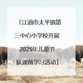 江油市太平镇第三中心小学校开展2025年儿童节队课前学习活动