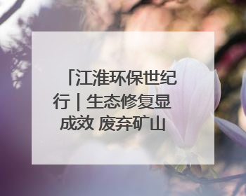 江淮环保世纪行｜生态修复显成效 废弃矿山变青山