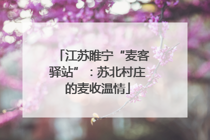 江苏睢宁“麦客驿站”：苏北村庄的麦收温情