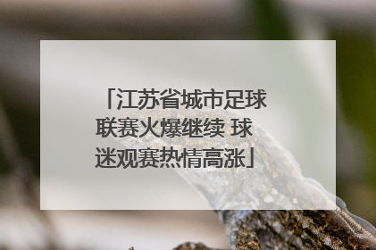 江苏省城市足球联赛火爆继续 球迷观赛热情高涨