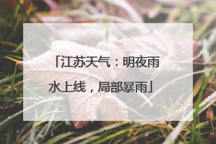 江苏天气：明夜雨水上线，局部暴雨
