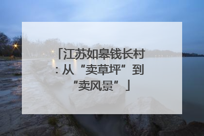 江苏如皋钱长村：从“卖草坪”到“卖风景”