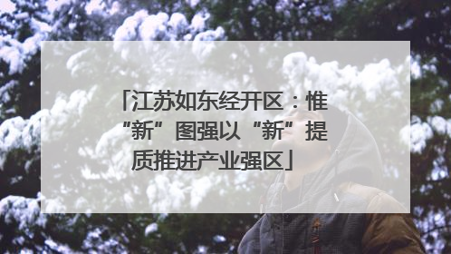 江苏如东经开区：惟“新”图强以“新”提质推进产业强区
