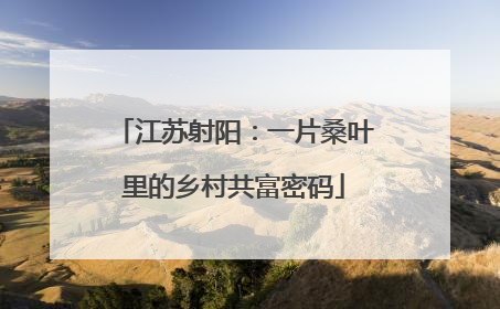 江苏射阳：一片桑叶里的乡村共富密码